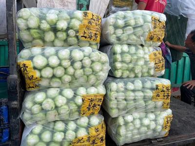 麻涌镇农副产品配送 货源充足还便宜 蔬菜配送公司