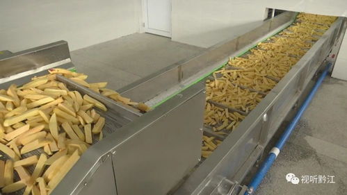 红薯实现精深加工 产业有效提档升级