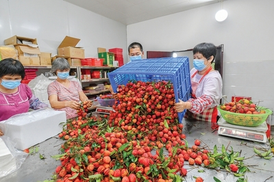 今年惠阳将做好八方面工作推动高质量发展 奋力打造“智造高地·活力惠阳”