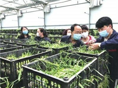 我国农产品质量安全监管的现状分析与对策研究