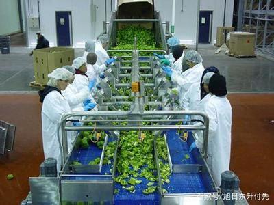 在农村,有了3000000元的资金,可以投资什么项目?