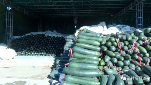 首衡河北新发地积极做好双节期间农产品安全稳定供应