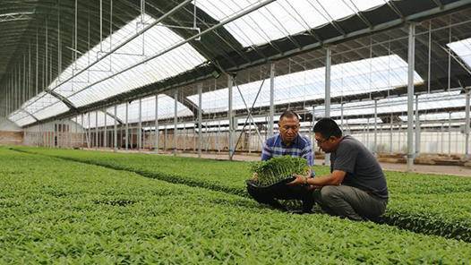 河南漯河首次开展新型职业农民职称评审