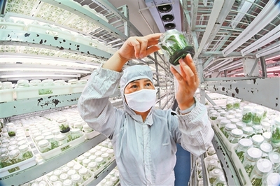 云南加快构建现代化产业体系 打造经济高质量发展新引擎