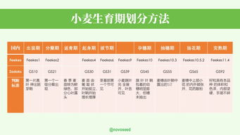 农产品基础知识系列之大豆 小麦的一生