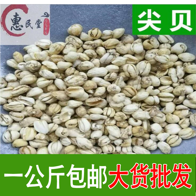 惠民堂品质尖贝 尖贝 干尖贝 一公斤 初级农产品